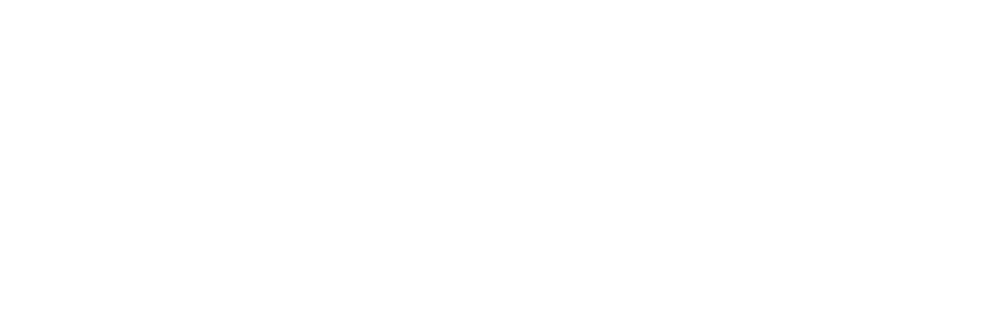 visa casino